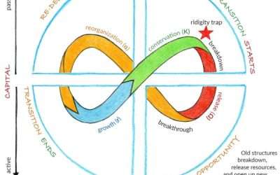 Program Evolution and the Adaptive Cycle