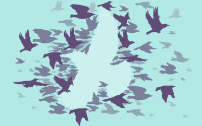 Understanding Systems Change: Beyond Individual Solutions