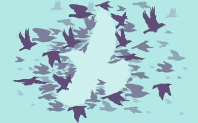 Understanding Systems Change: Beyond Individual Solutions