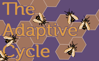 Release and Reorganization: Embracing the Adaptive Cycle