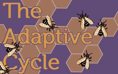 Release and Reorganization: Embracing the Adaptive Cycle